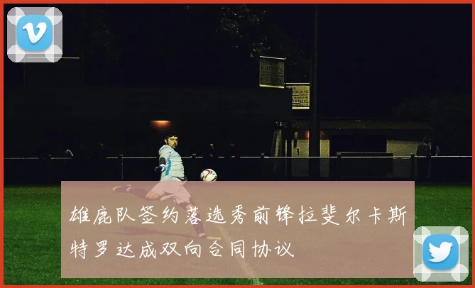 雄鹿队签约落选秀前锋拉斐尔卡斯特罗达成双向合同协议